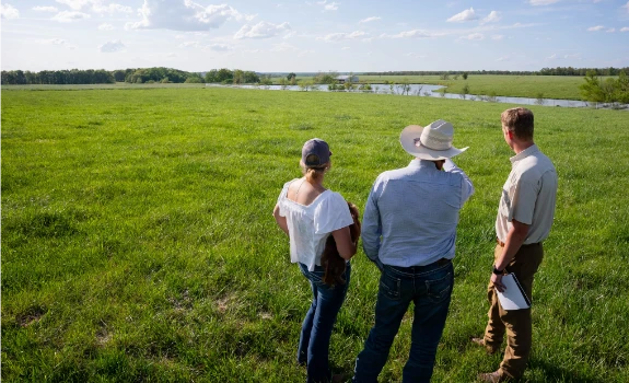 a knowledgeable agent