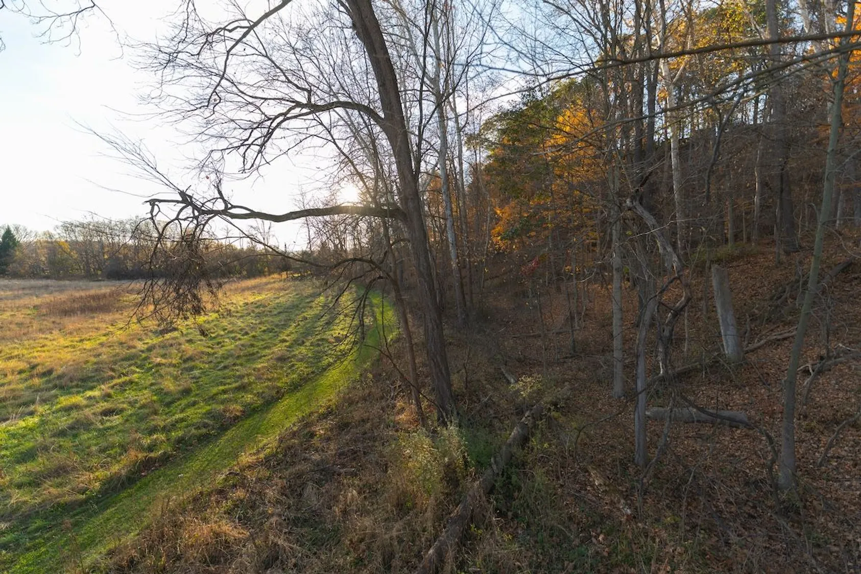 Sloped field transitioning to woodland edge with bare trees and brown leaf litter in south-central Illinois