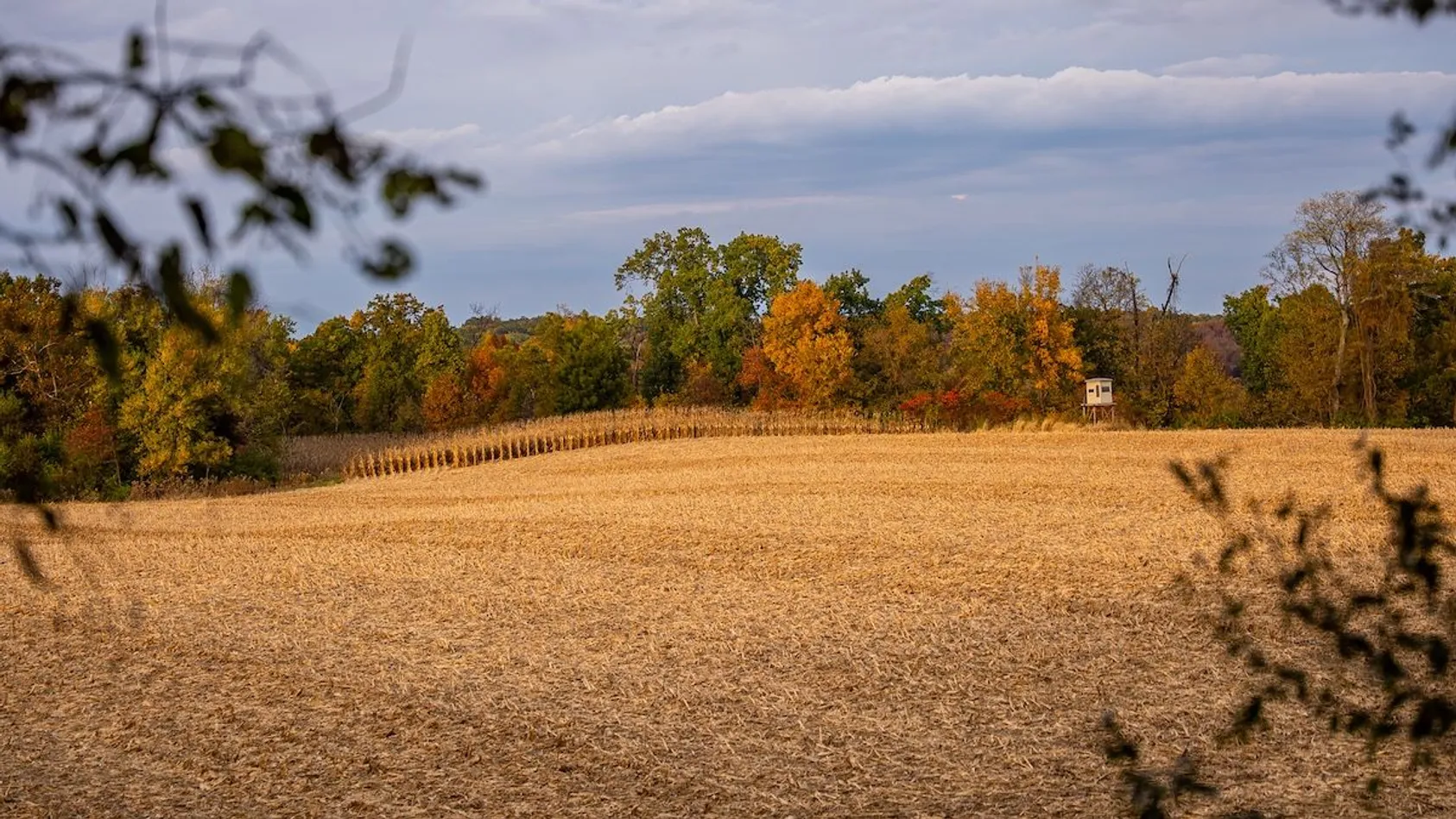Where to Find the Most Affordable Land in Illinois Right Now