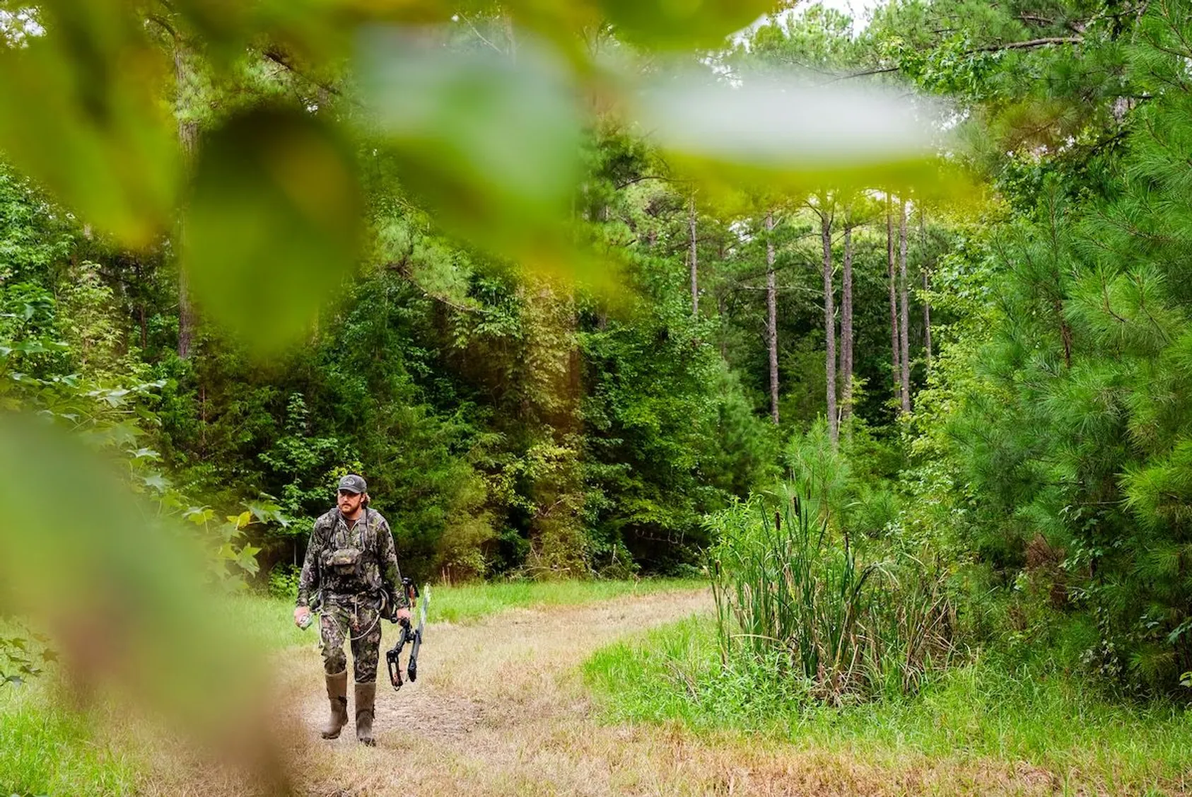 Bowhunter in camouflage walking down dirt path through green forest clearing carrying compound bow viewed through foliage
