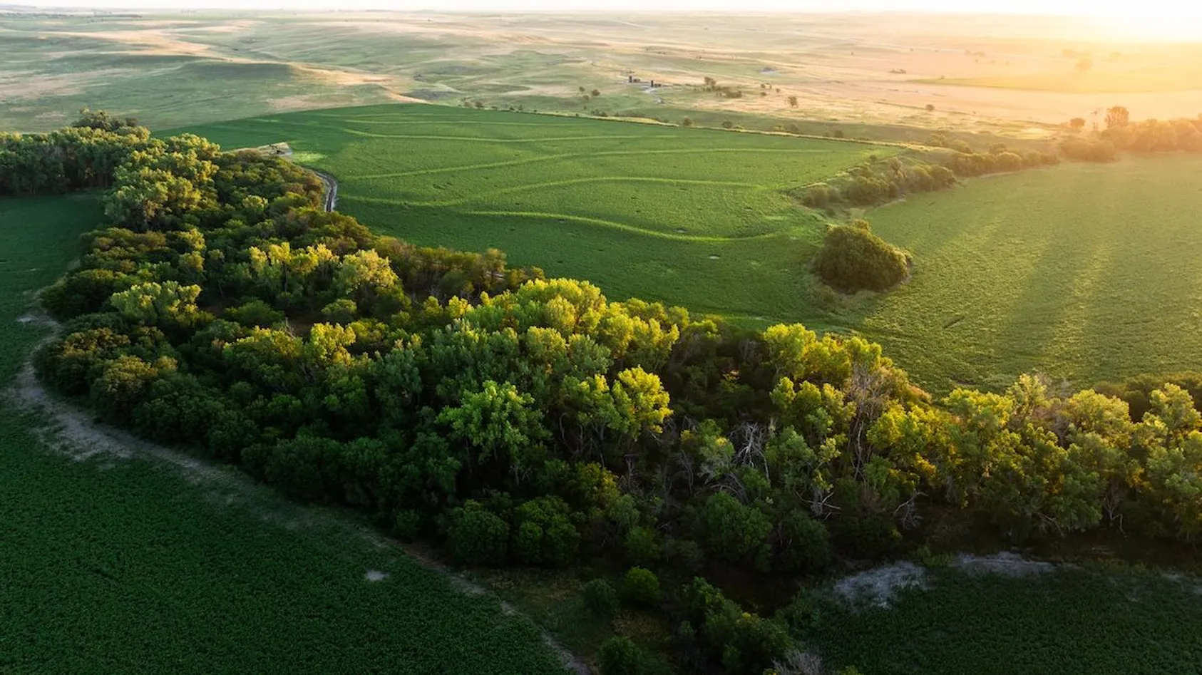 Featured Image for 15 Reasons Why You Need a Land Survey Before Buying Property