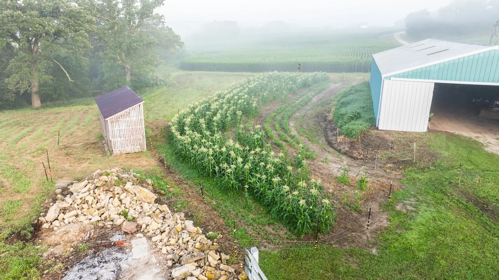 Aerial view of small farm with barn, corn crib, garden rows, and misty crop fields in background.