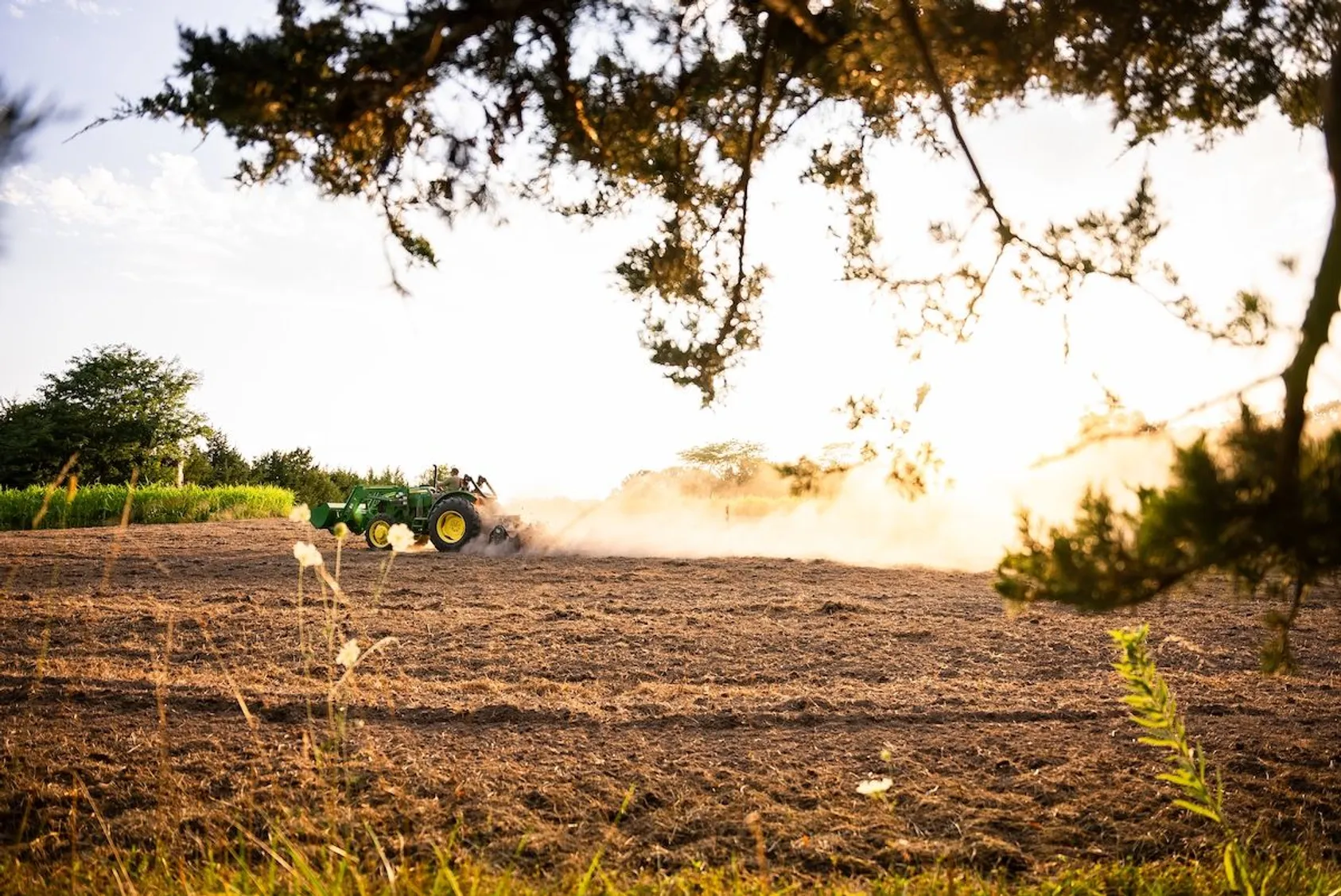 John Deere tractor kicking up dust cloud while working dry soil field framed by overhanging tree branches