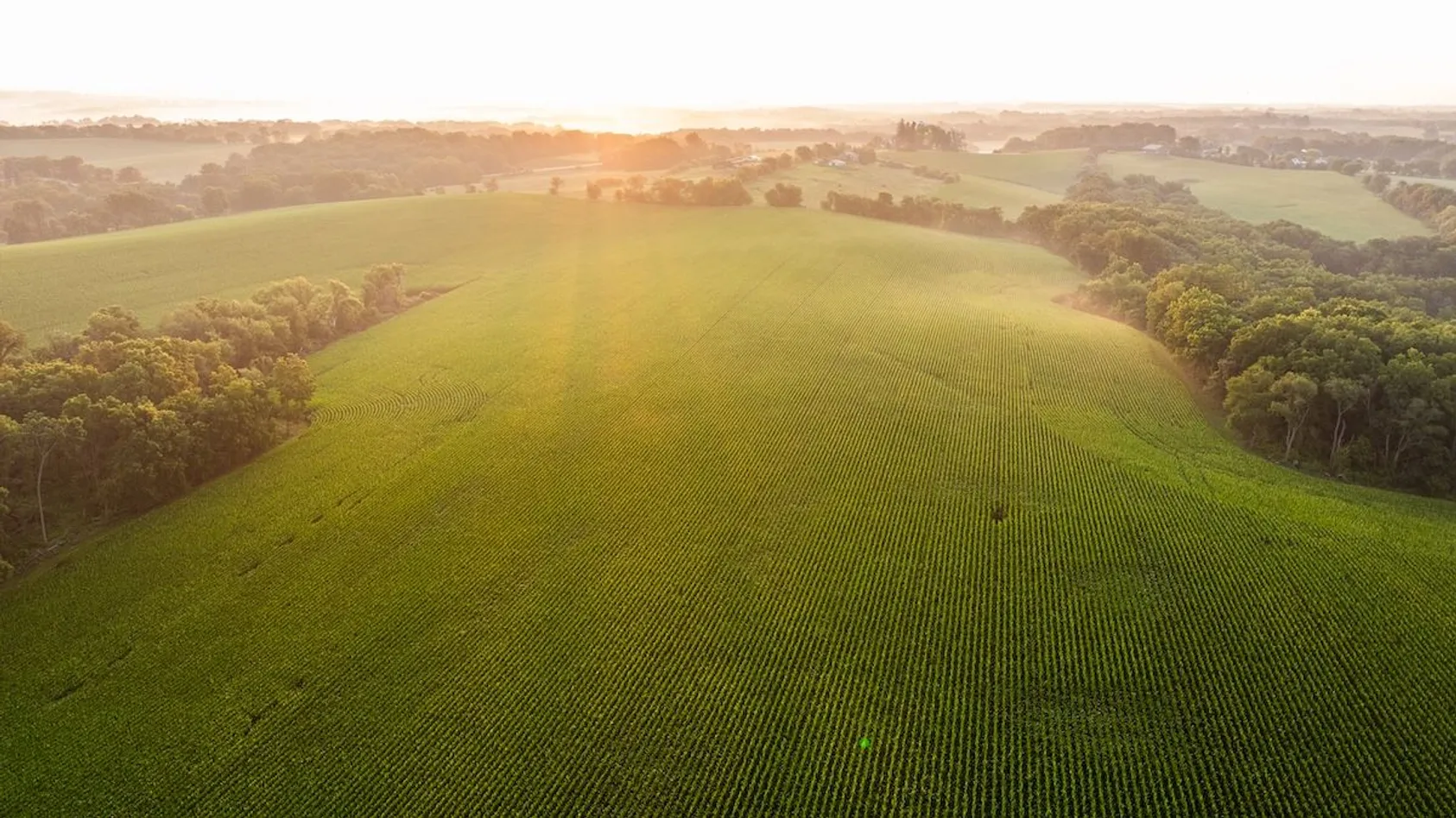 Understanding Land Use Regulations: A Landowner's Guide