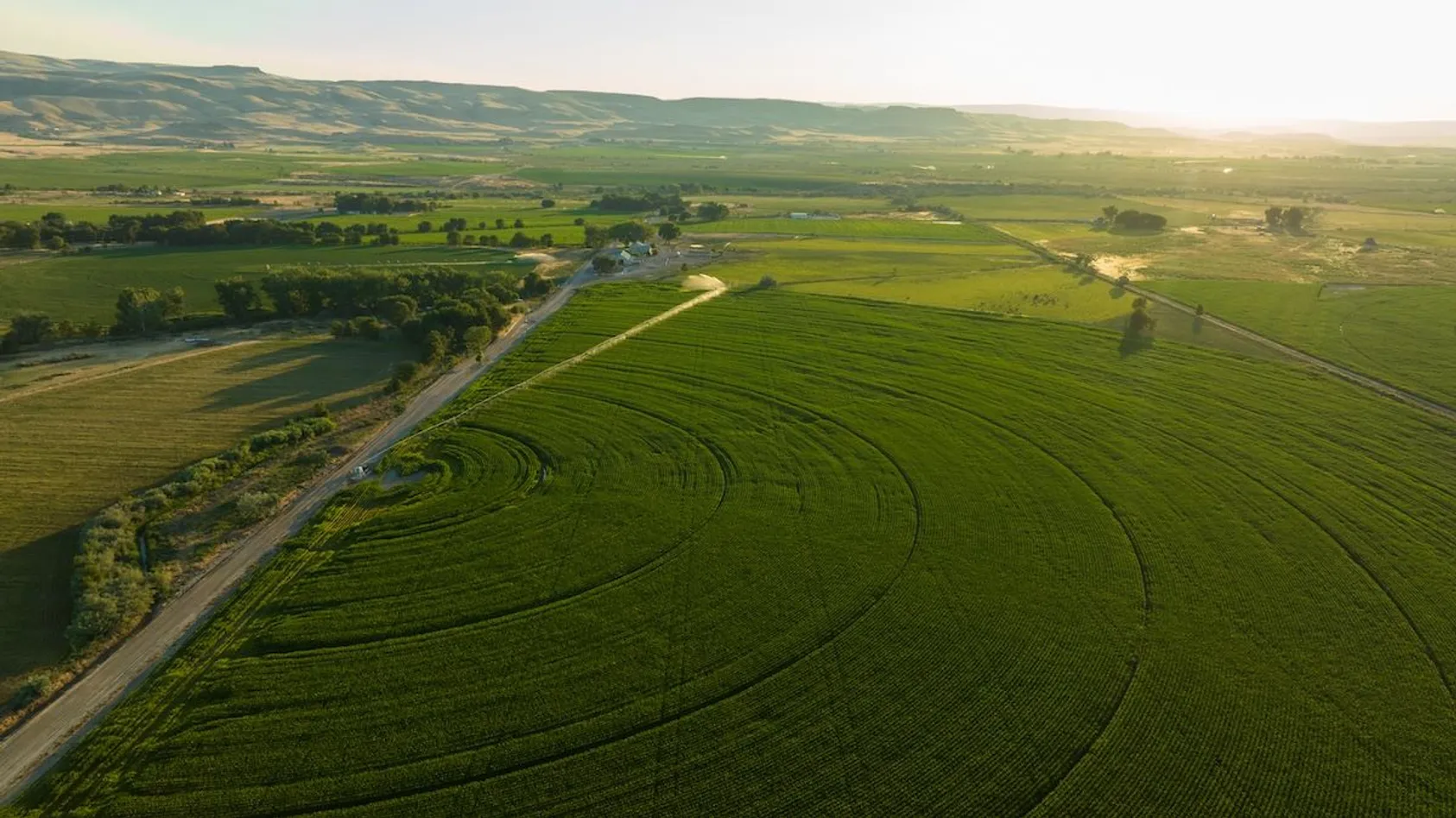 Aerial sunrise view of circular irrigation patterns on green crop field beside road with distant hills and farms.