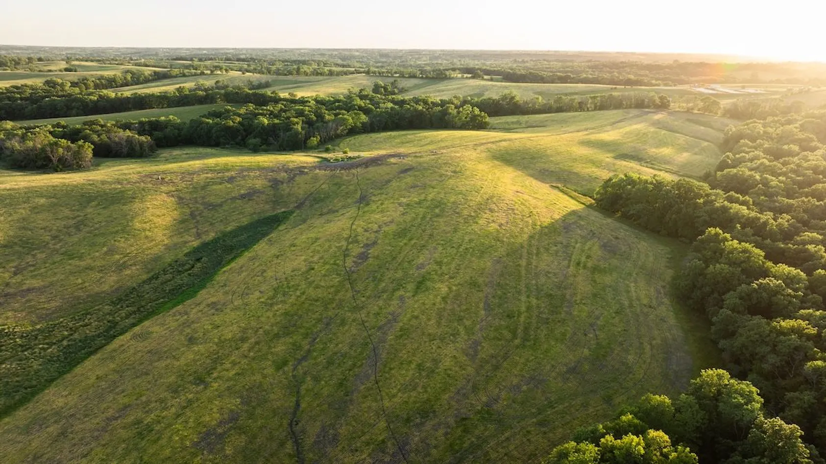 Aerial view at golden hour of rolling green pastures and crop fields divided by tree lines in rural farmland.