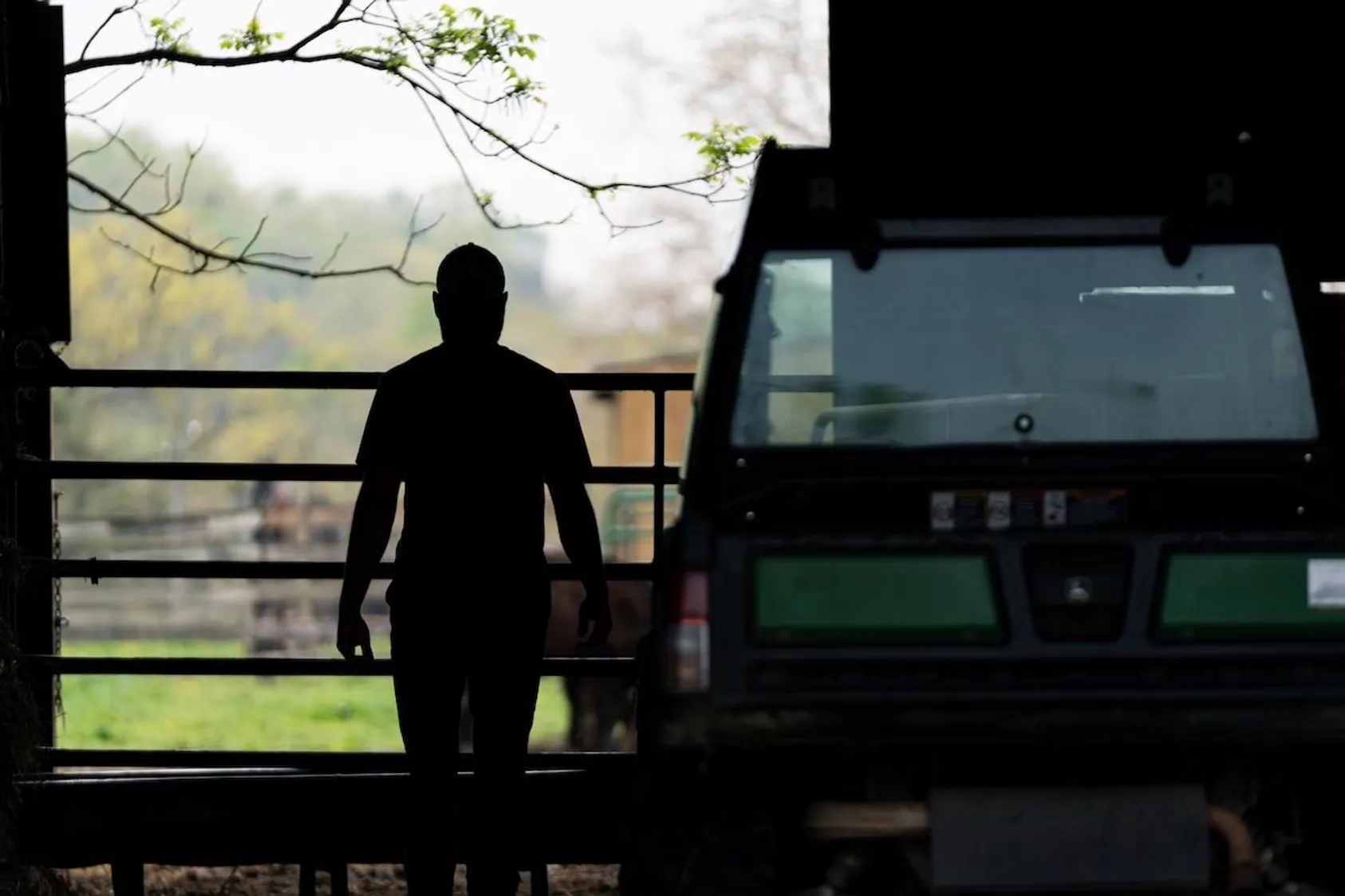 Silhouette of person standing at barn railing looking out at pasture with green tractor parked inside barn.