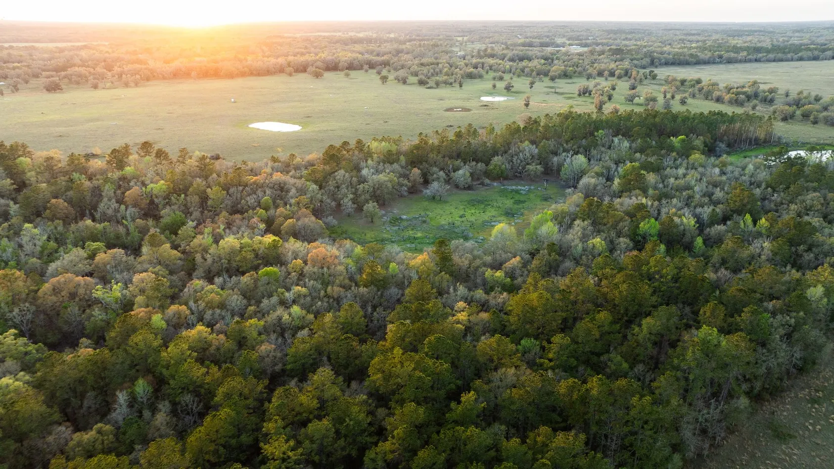 Aerial sunset view of mixed woodland and open pasture with small ponds and scattered trees across rural landscape
