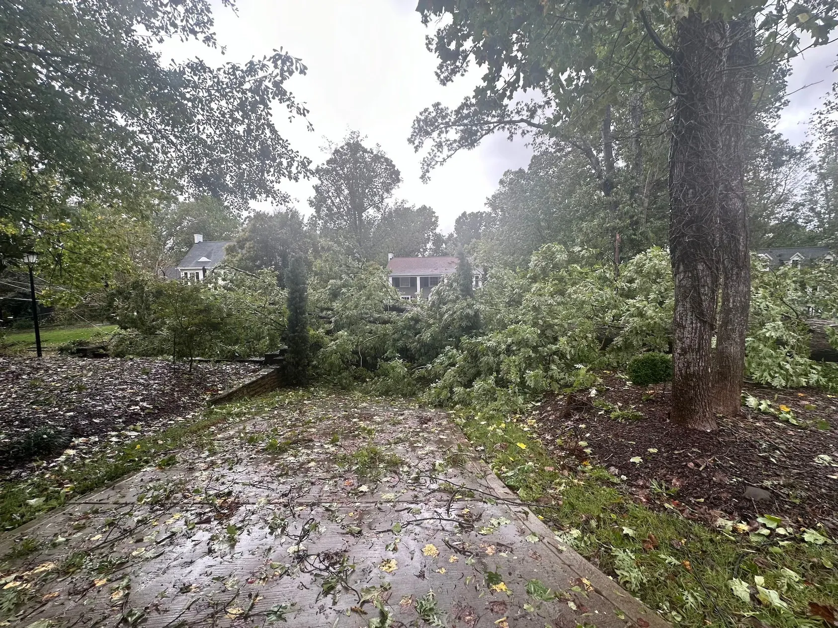 Storm damage with fallen tree blocking residential street covered in leaves and branches under overcast sky