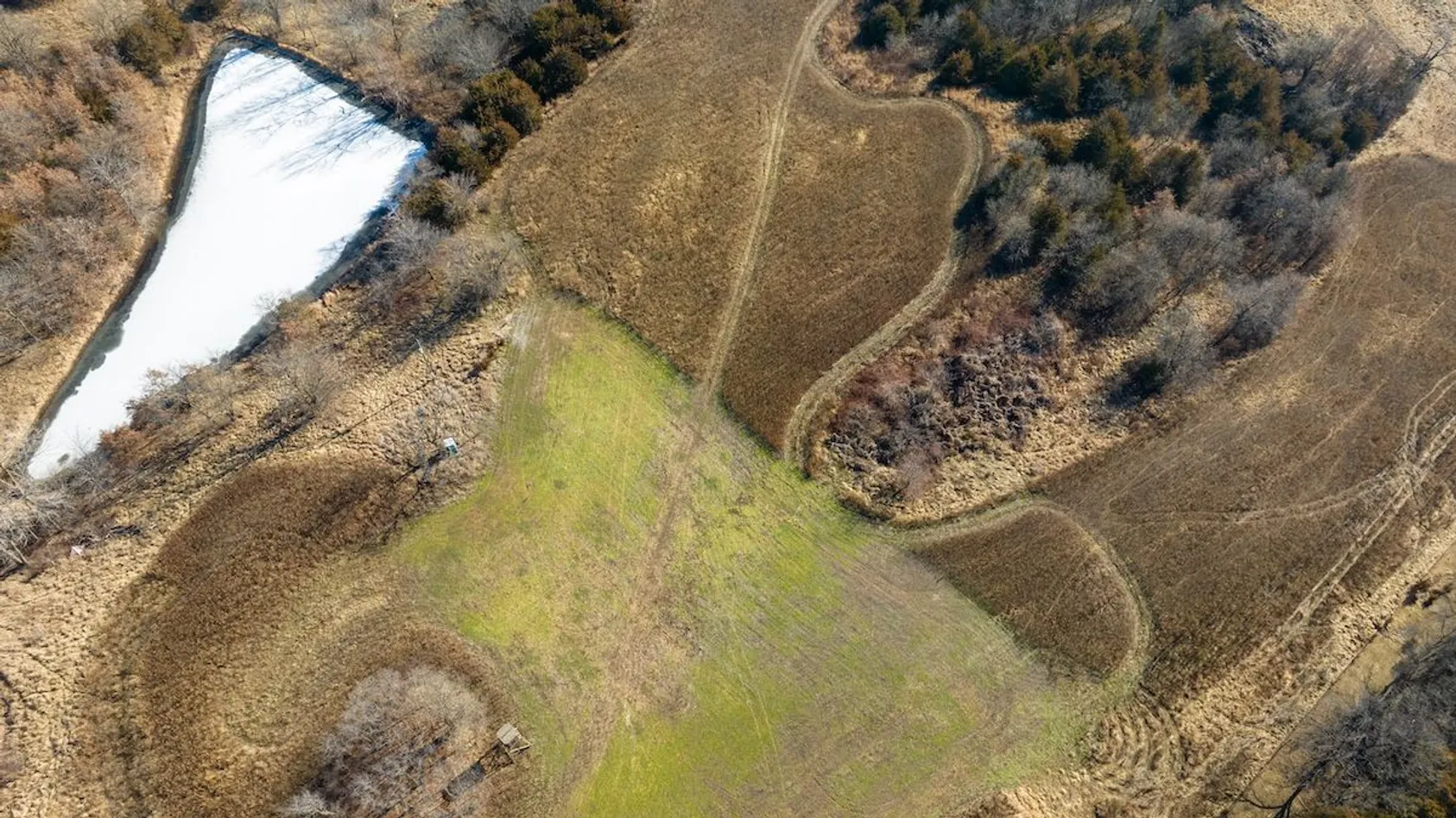 Overhead view of agricultural fields with pond, showing mix of bare soil, green cover crop strips, and wooded borders.
