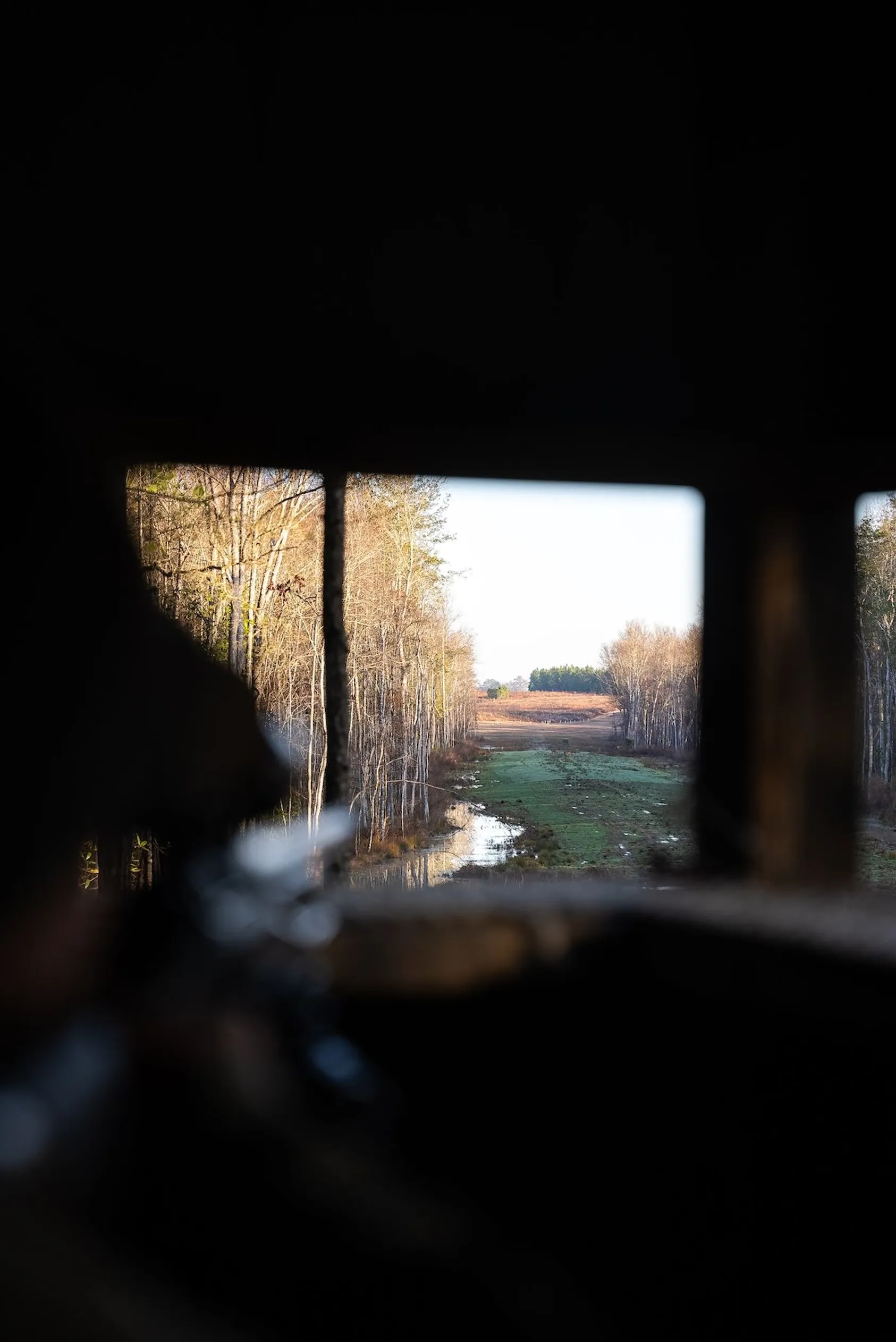 View through hunting blind window showing open field with bare trees, green food plot, and small pond