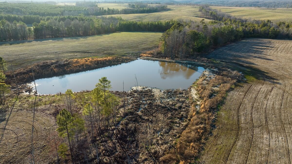 Build and maintain your dream recreational fishing pond