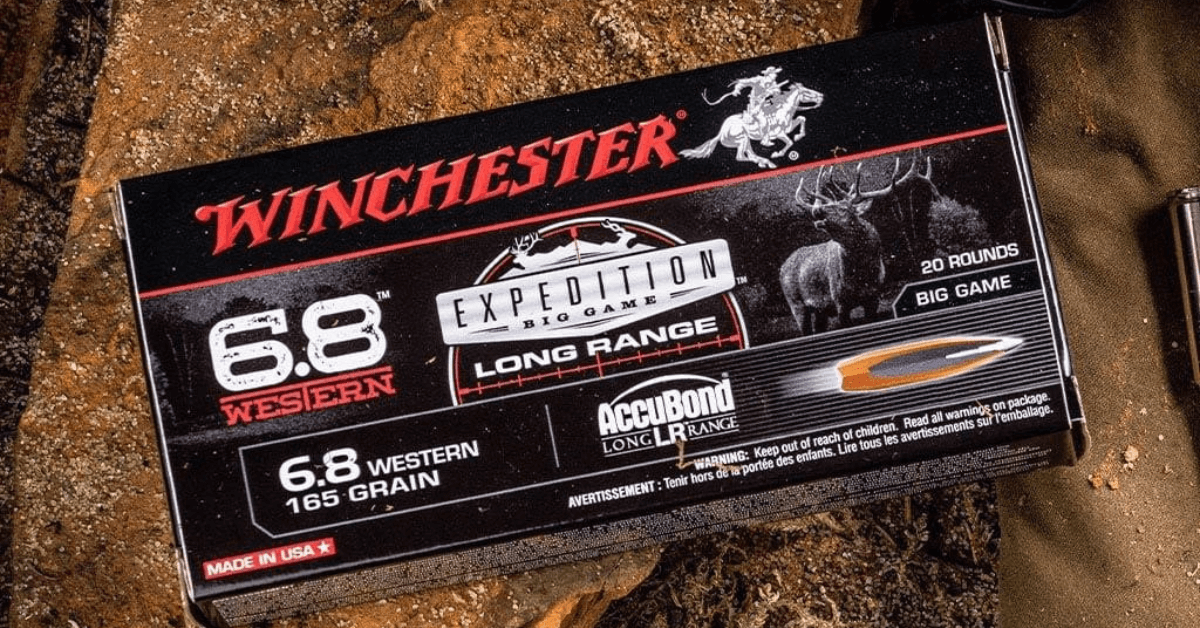 Bullet Features to Consider When Hunting Whitetails
