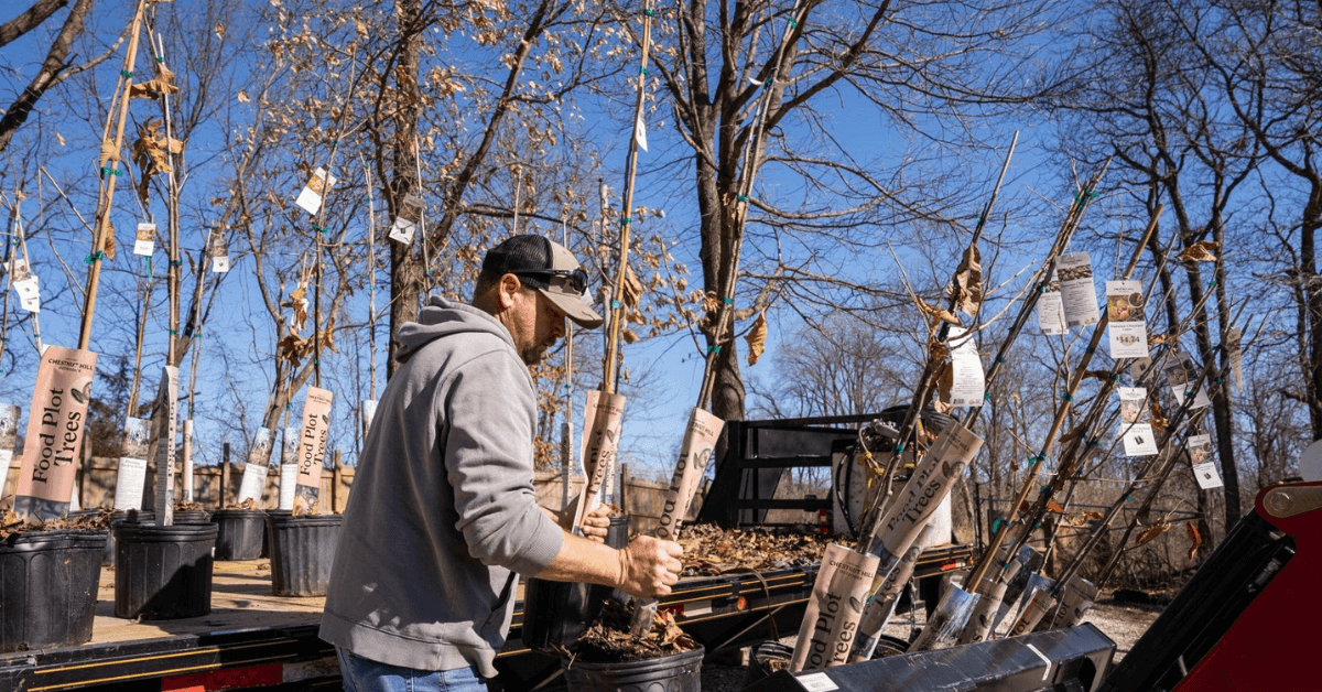 Chestnut Hill Outdoors fall tree planting