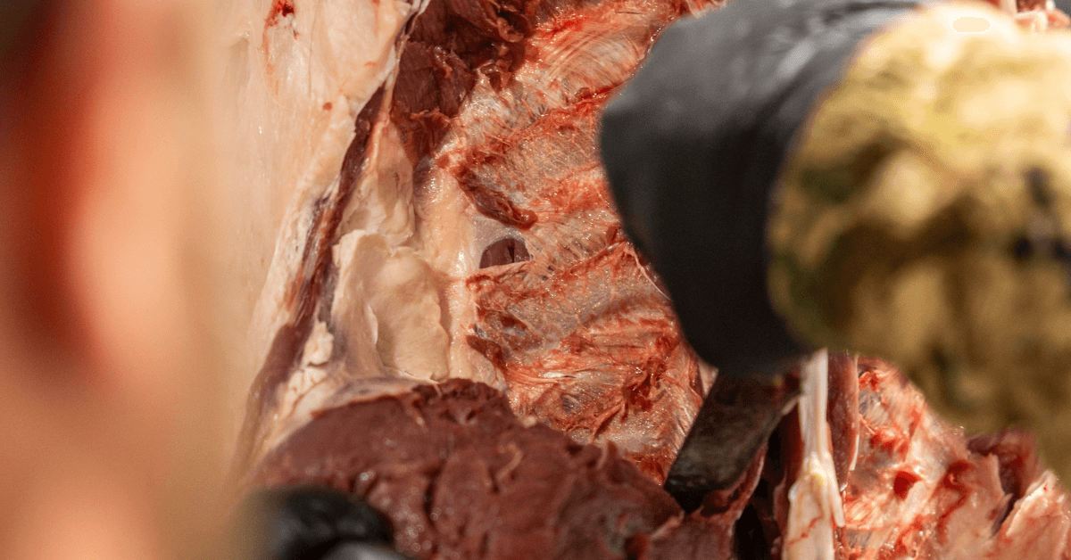 Deer-Processing-9