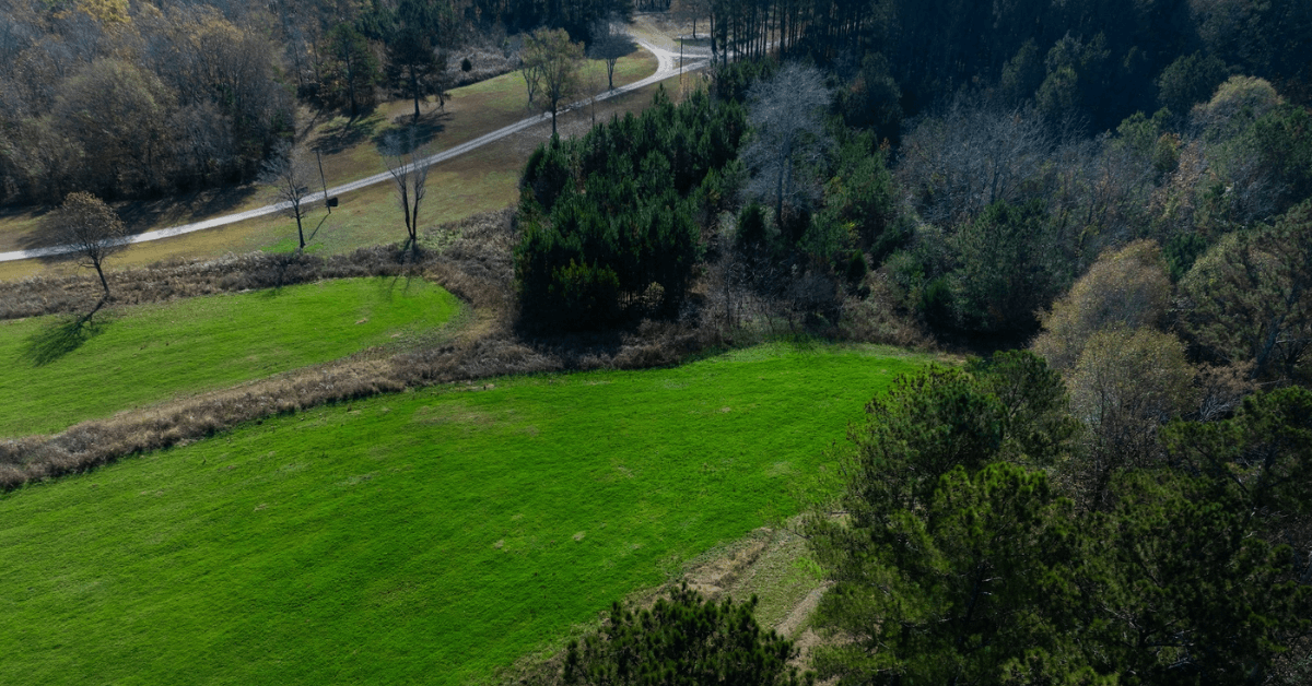 Drones-and-Deer-2