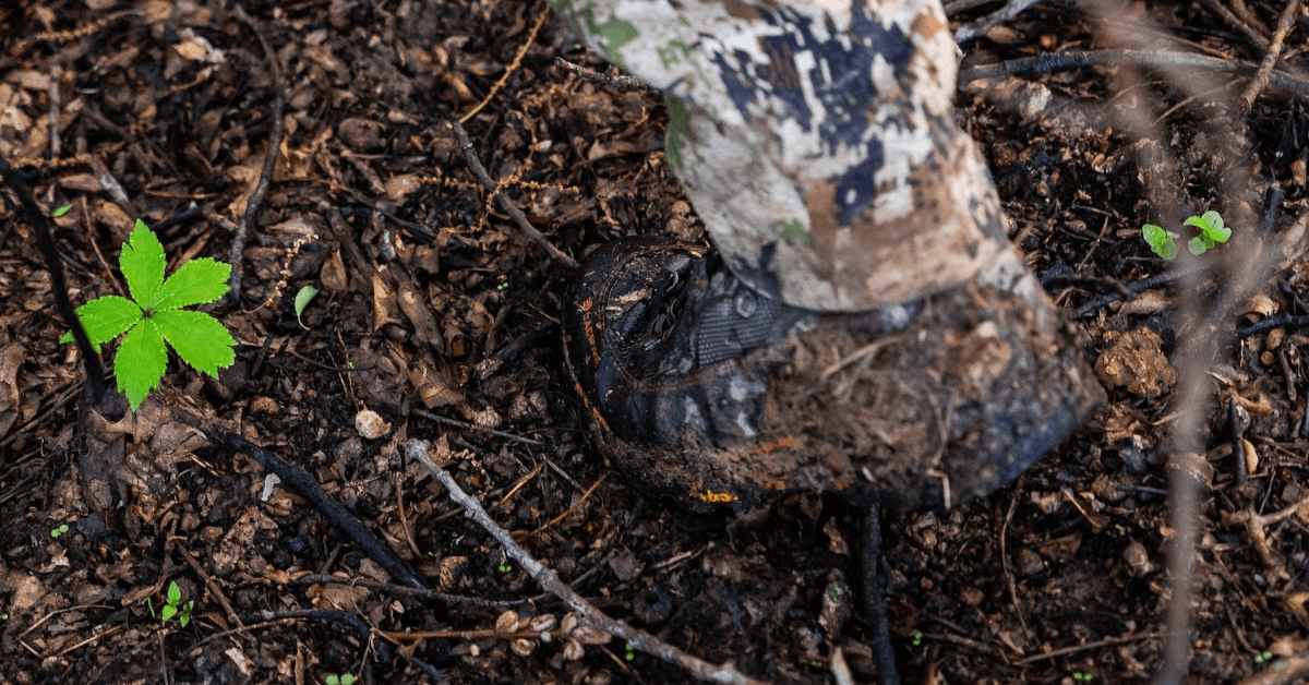Guide to Understanding Deer Bedding Behavior-8