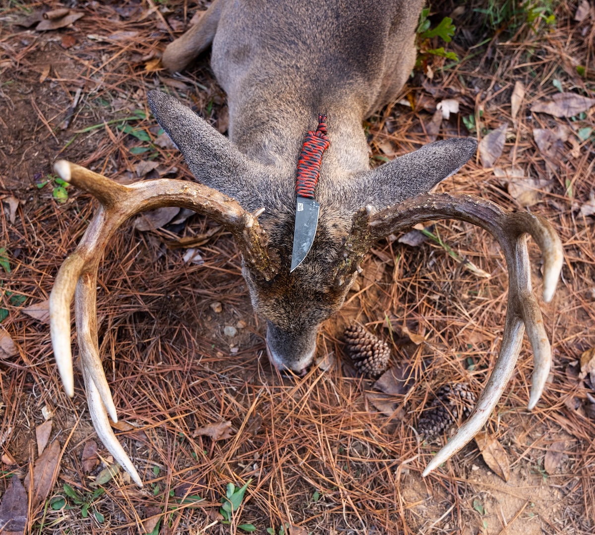 5 Knives Every Deer Hunter Should Have in Their Processing Kit