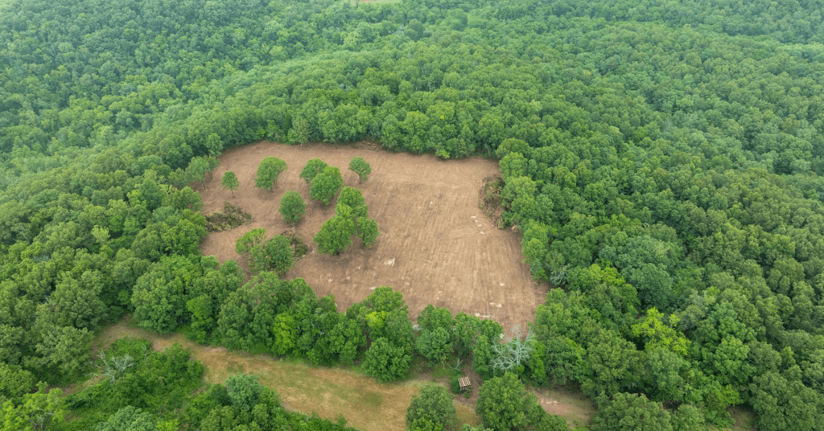 Land-Investment-2