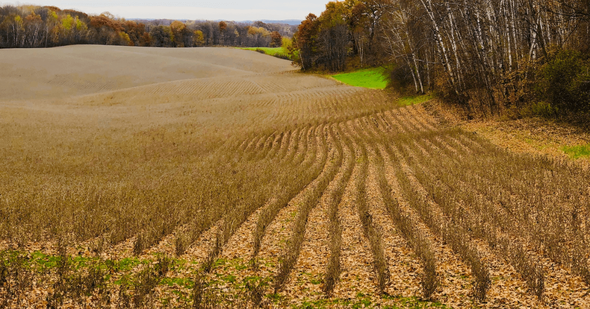 Land-Investment-3