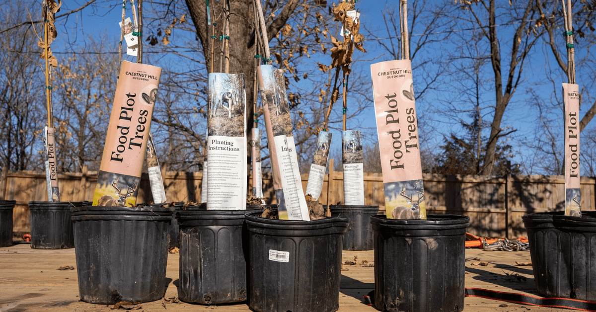 Maximizing Wildlife Food Sources with Strategic Mast Tree Planting-2