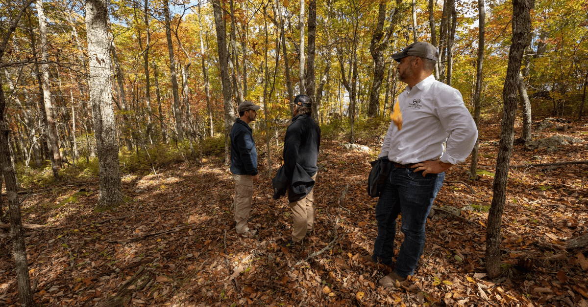 Maximizing Wildlife Food Sources with Strategic Mast Tree Planting-4