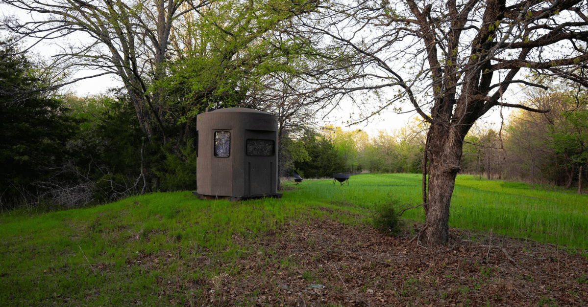Maximizing Wildlife Food Sources with Strategic Mast Tree Planting-6