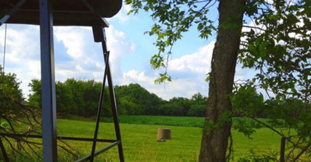 Rut Hunting Property Features