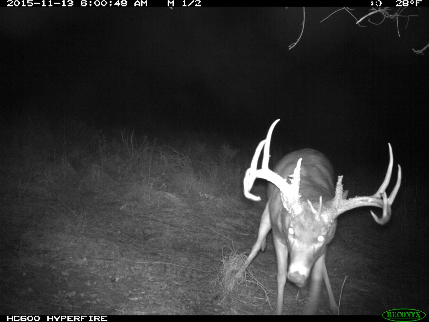 Trouble_Shooting_Trail_Cameras