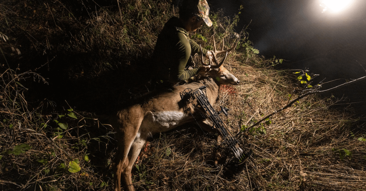 Featured Image for Where to Shoot a Whitetail Deer