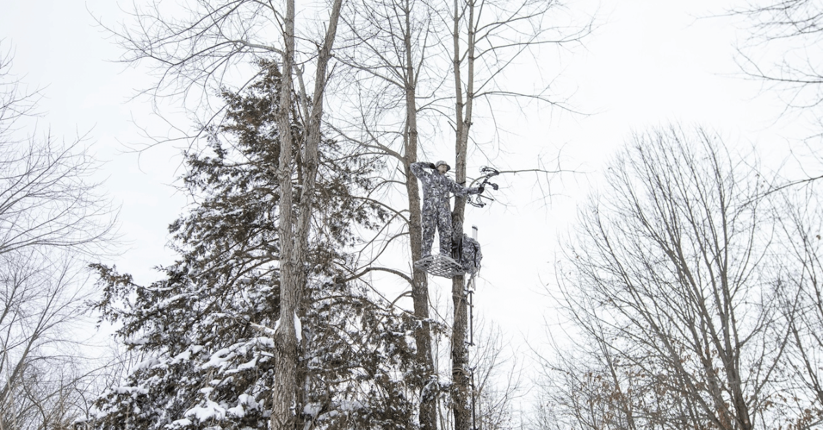 Where-to-Shoot-Deer-5