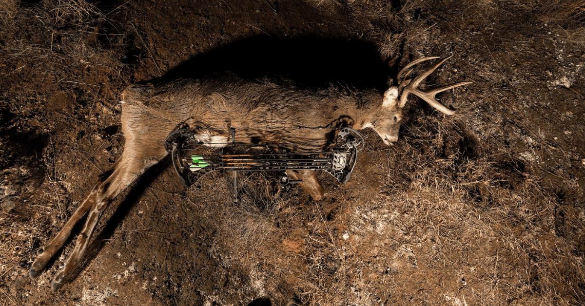 Where-to-Shoot-Deer-6