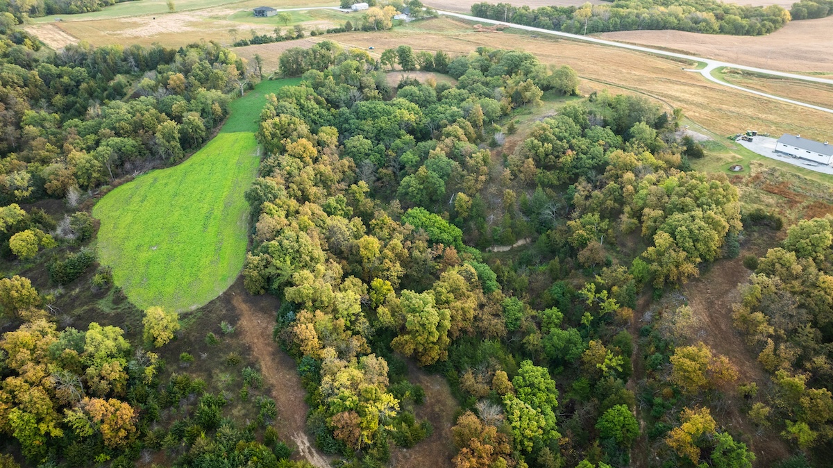 Wisconsin Land for Sale: Real Estate Market Trends, Land Costs, and Best Areas to Buy Recreational Property