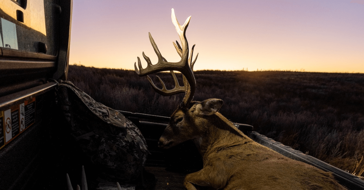 Youth-Hunter-7