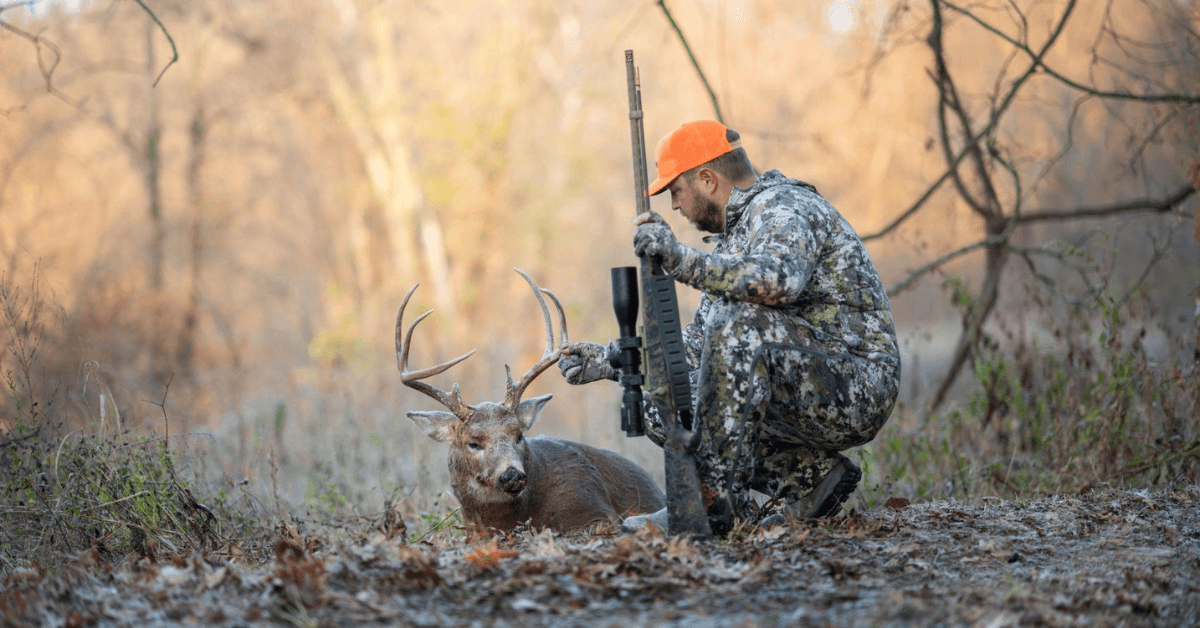 whitetail hunting season